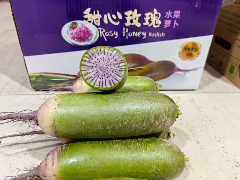 正宗甜心玫瑰萝卜大量种植上市