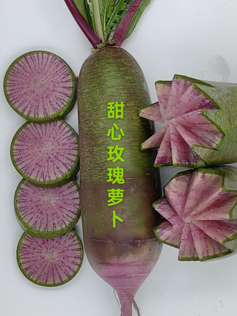 正宗甜心玫瑰萝卜大量种植上市