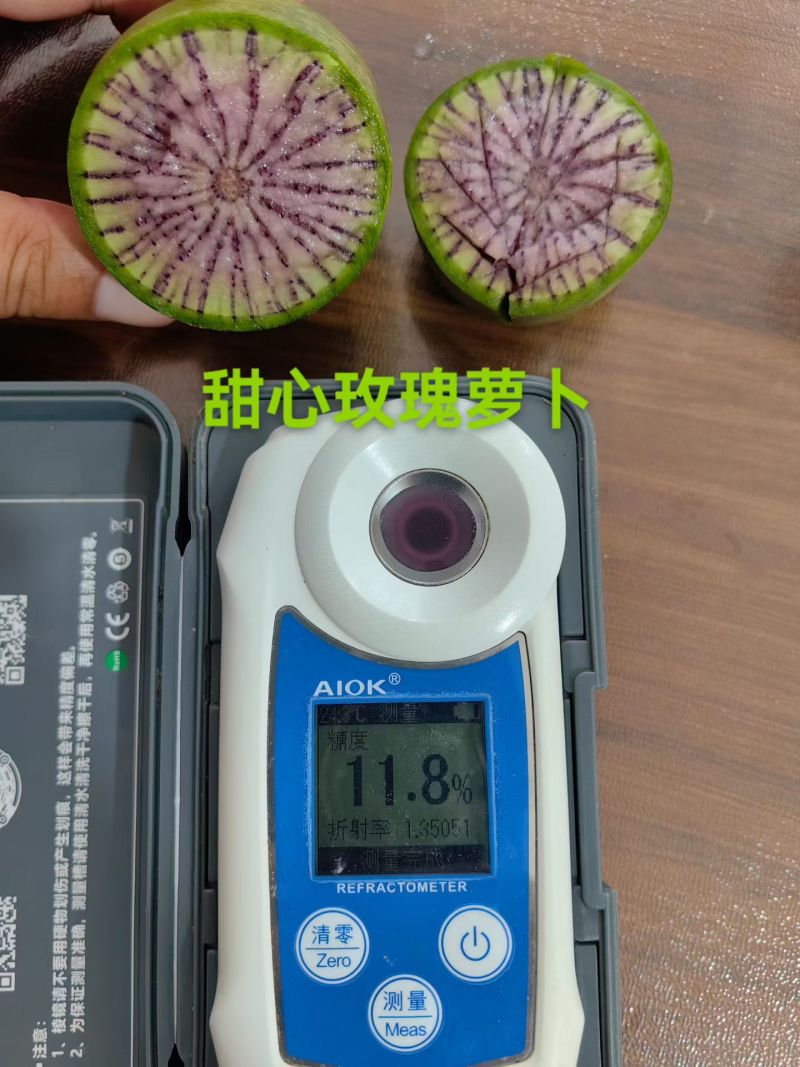 正宗甜心玫瑰萝卜大量种植上市