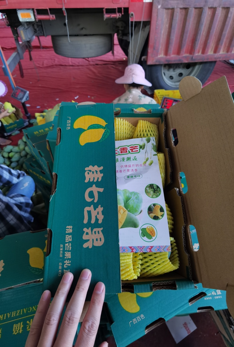 广西百色桂七芒果，产地直发，电商一件代发，落地配社区团购