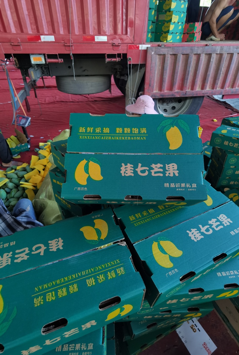 广西百色桂七芒果，产地直发，电商一件代发，落地配社区团购