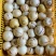 大果80克以上，中果50克到80克，小果30克到50