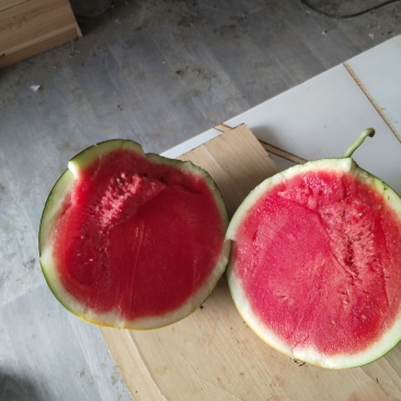 黑皮无籽