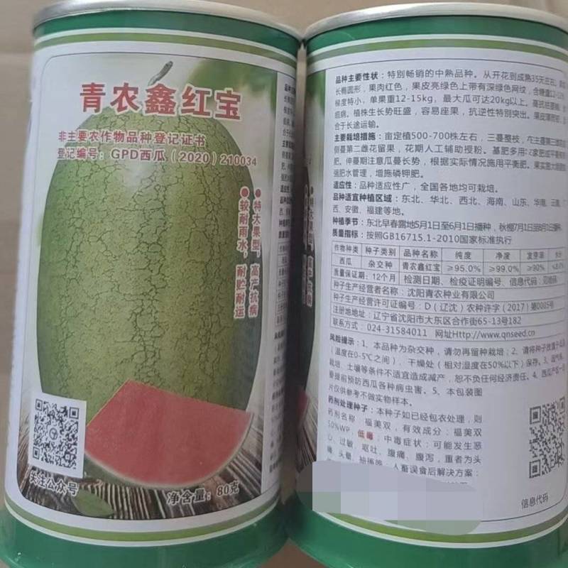 鑫红宝中熟品种长椭圆形40斤以上抗逆性强大红瓤