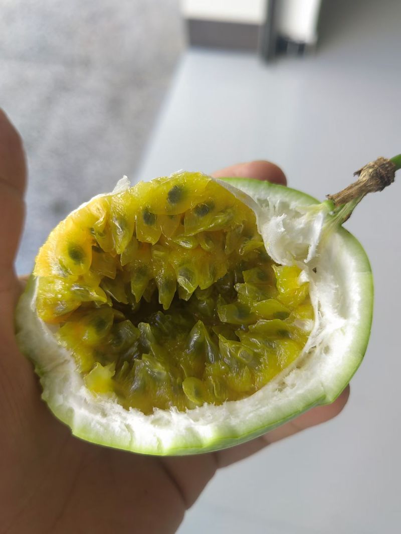 龙胜高山百香果