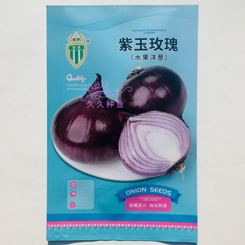紫玉玫瑰水果洋葱种子国外引进秋播耐热高产长势强圆葱种籽