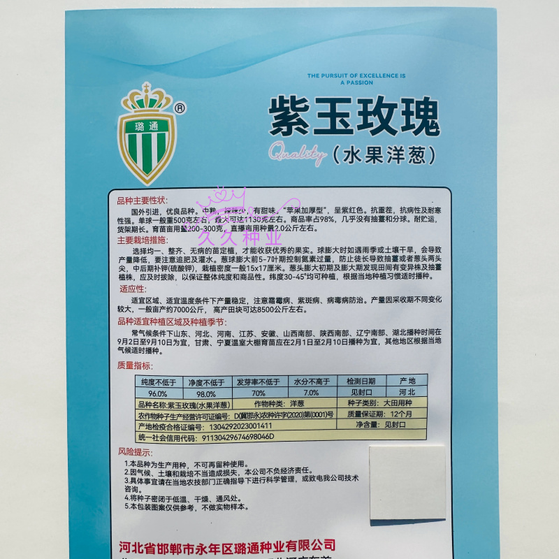 紫玉玫瑰水果洋葱种子国外引进秋播耐热高产长势强圆葱种籽