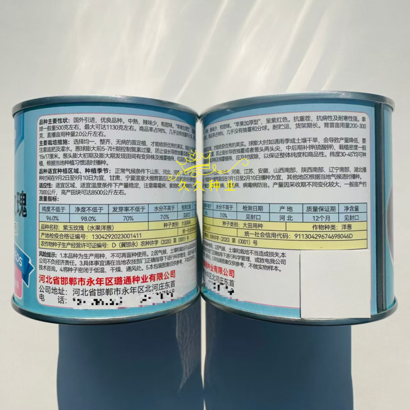 紫玉玫瑰水果洋葱种子国外引进新品种紫红色洋葱
