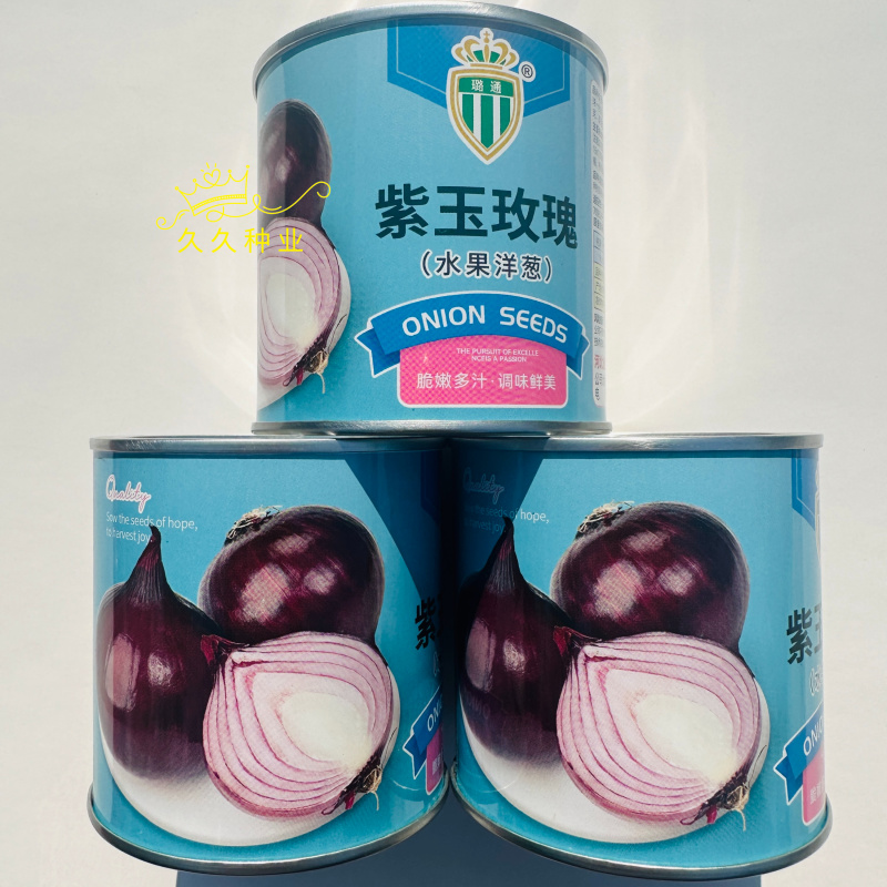 紫玉玫瑰水果洋葱种子国外引进新品种紫红色洋葱