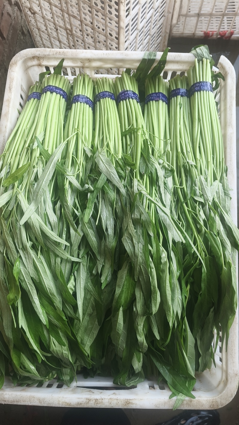 优质空心菜，欢迎骚扰