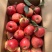 昭通红露苹果甜脆多汁，老少皆宜