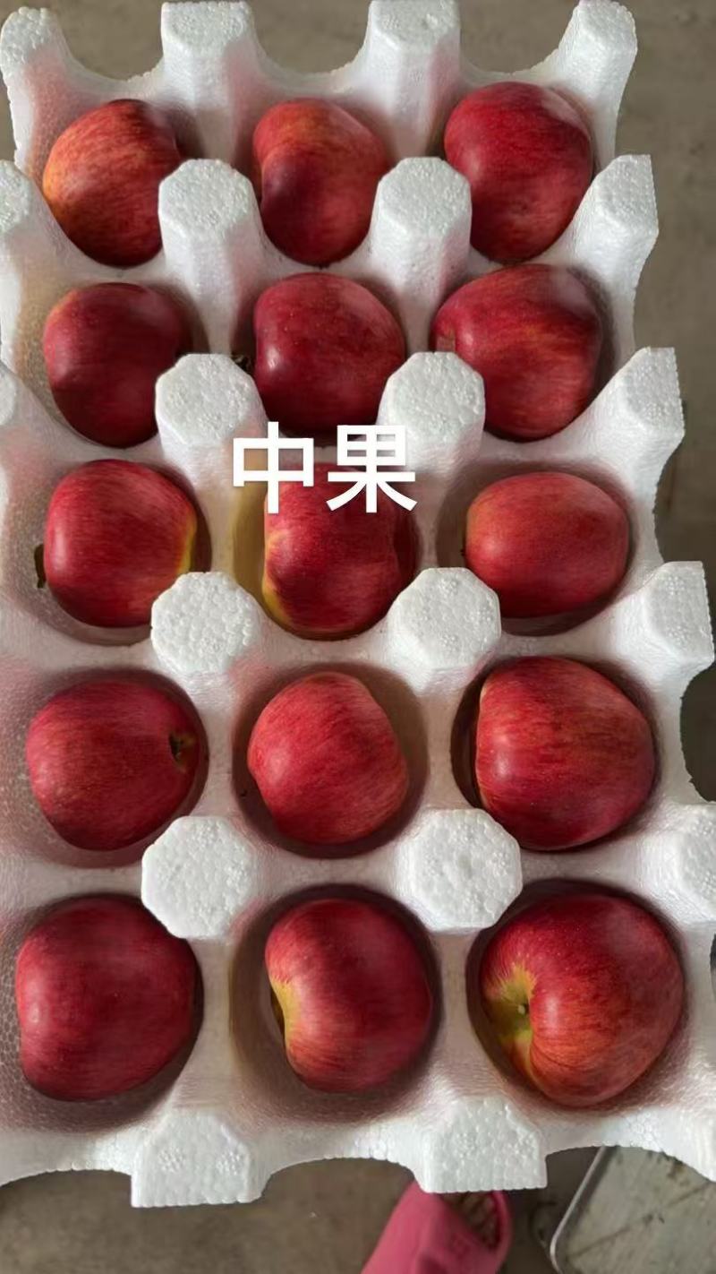昭通红露苹果甜脆多汁，老少皆宜