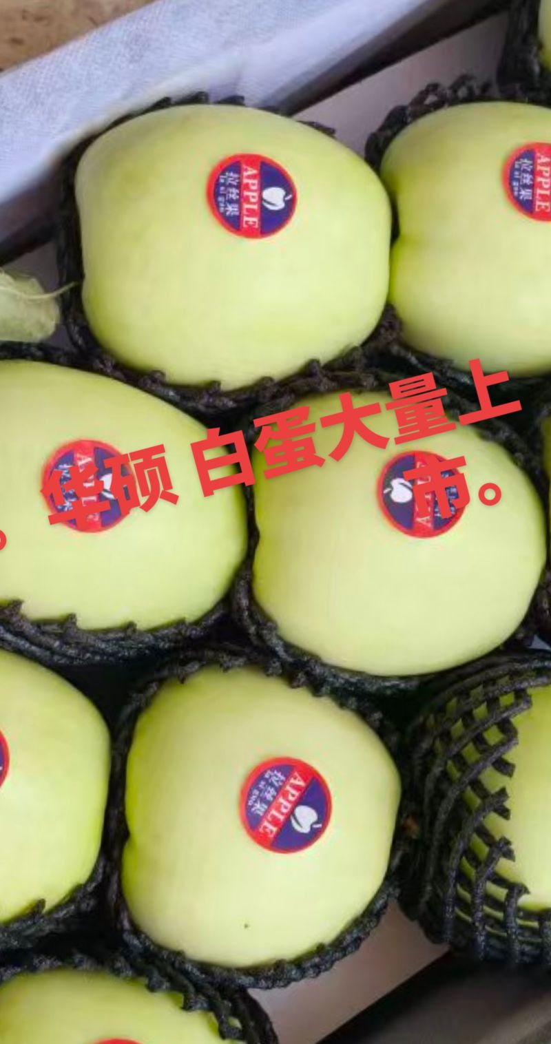 华硕白蛋七五起步。货源充足。有需要的可以联系。