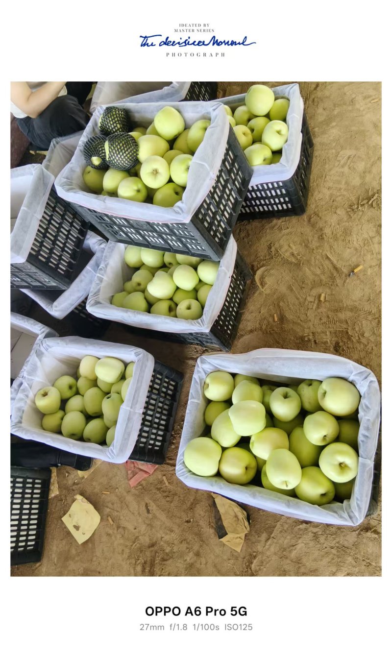 华硕白蛋七五起步。货源充足。有需要的可以联系。