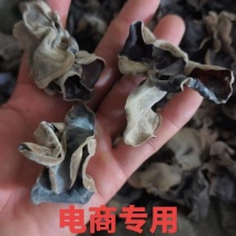 电商专用毛木耳，产地直销一手货源