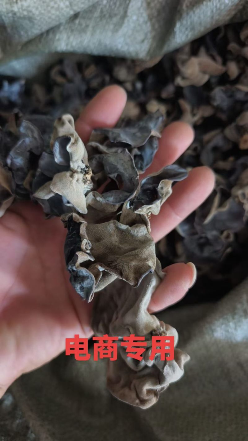电商专用毛木耳，产地直销一手货源