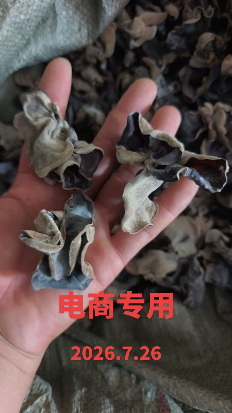 电商专用毛木耳，产地直销一手货源