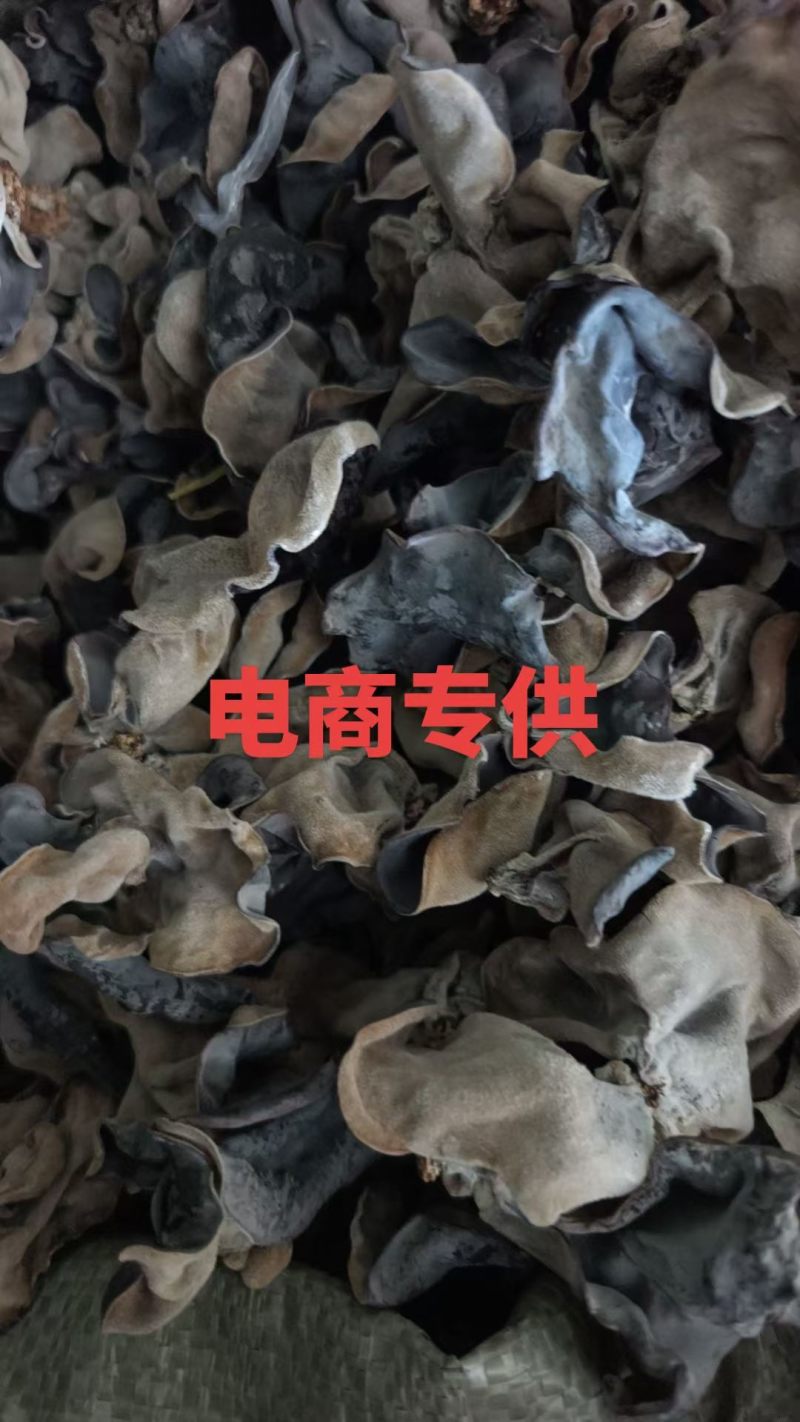 电商专用毛木耳，产地直销一手货源