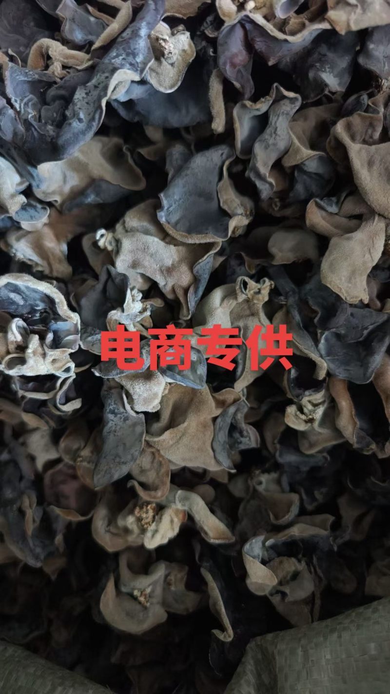 电商专用毛木耳，产地直销一手货源