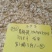 隆回特产/正宗隆回龙牙百合干/假一罚万