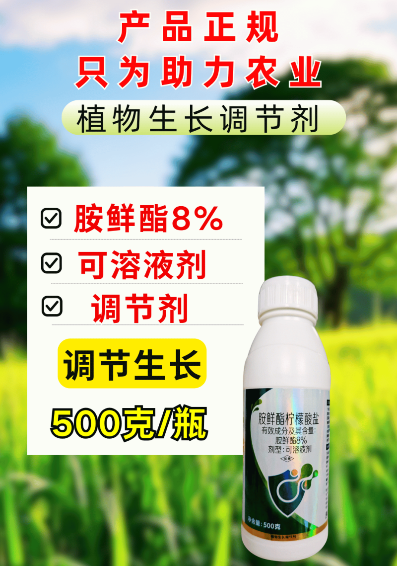 8%胺鲜酯柠檬酸盐调节生长提高叶绿素光合作用