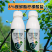 8%胺鲜酯柠檬酸盐调节生长提高叶绿素光合作用