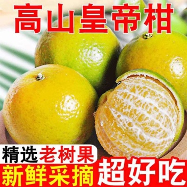 新鲜皇帝柑高山贡柑桔子超甜薄皮柑橘水果整箱批发
