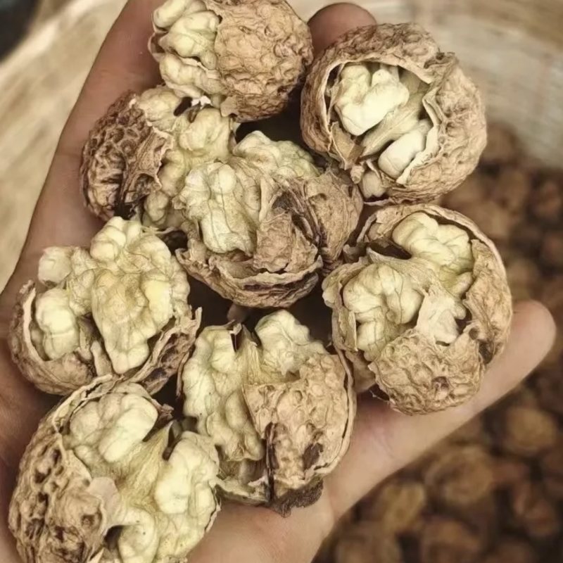 云南高山薄皮核桃麻子核桃抛核桃