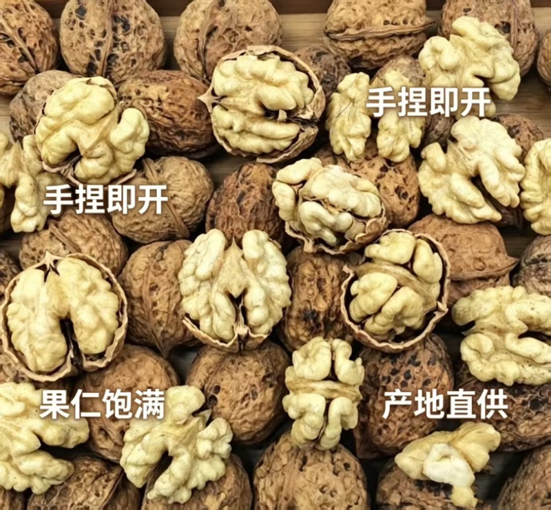 云南高山薄皮核桃麻子核桃抛核桃
