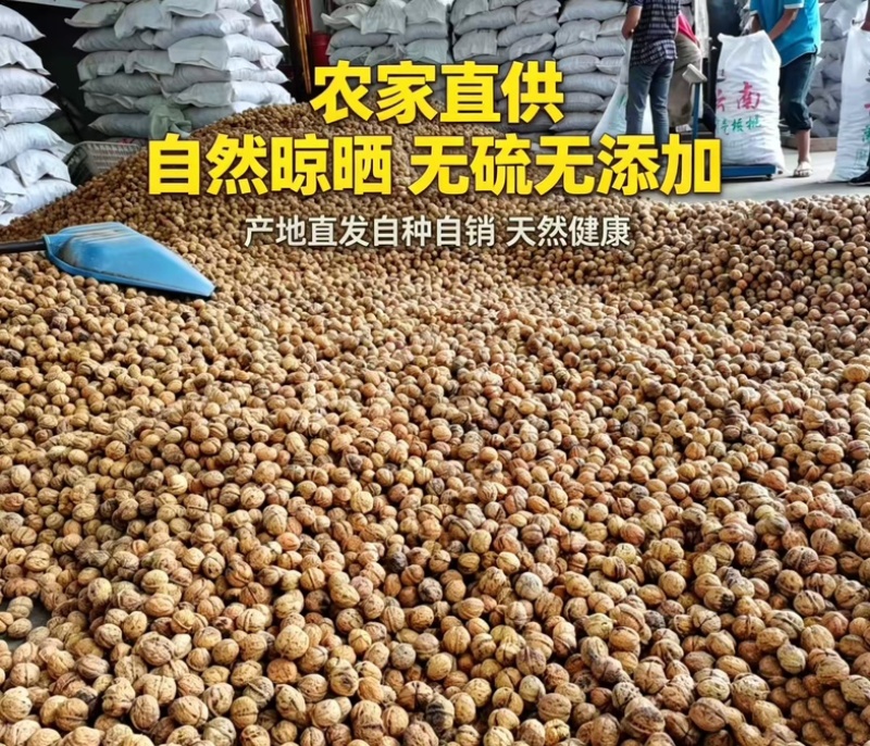 云南高山薄皮核桃麻子核桃抛核桃