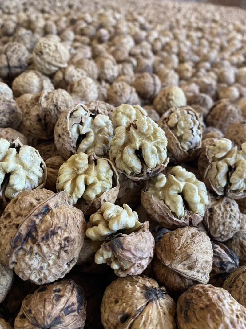 云南高山薄皮核桃麻子核桃抛核桃