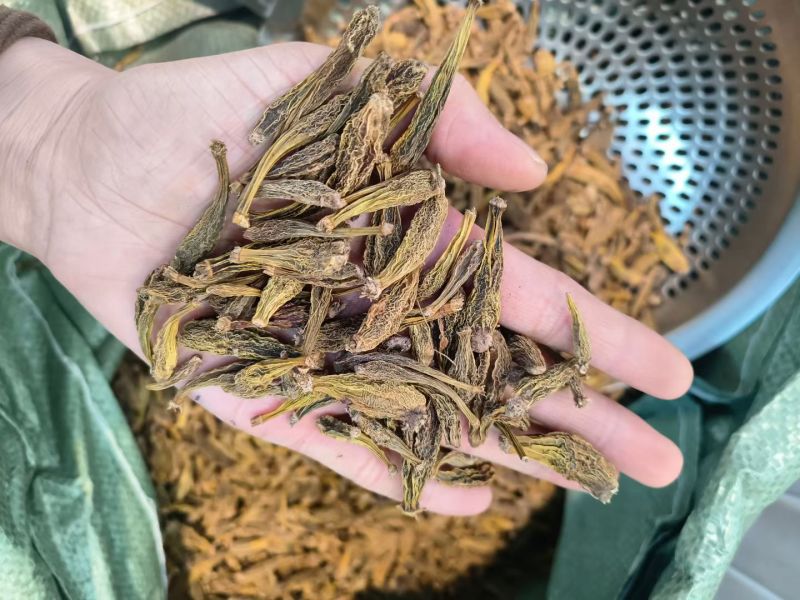 龙珠石斛冰球子西藏冰球子自然晾晒干货可批发零售