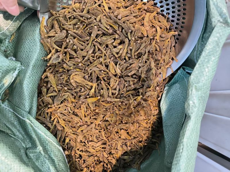龙珠石斛冰球子西藏冰球子自然晾晒干货可批发零售