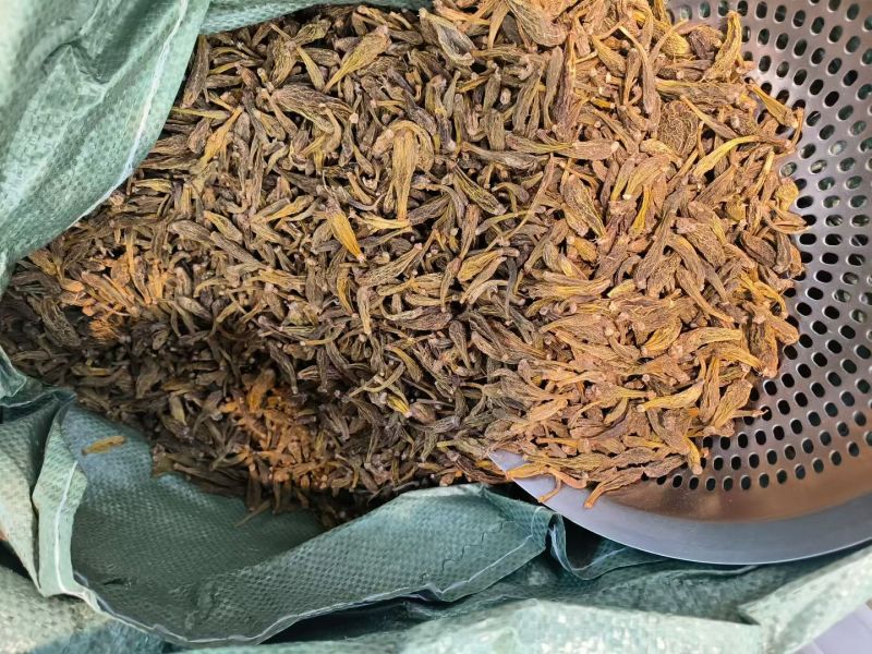 龙珠石斛冰球子西藏冰球子自然晾晒干货可批发零售