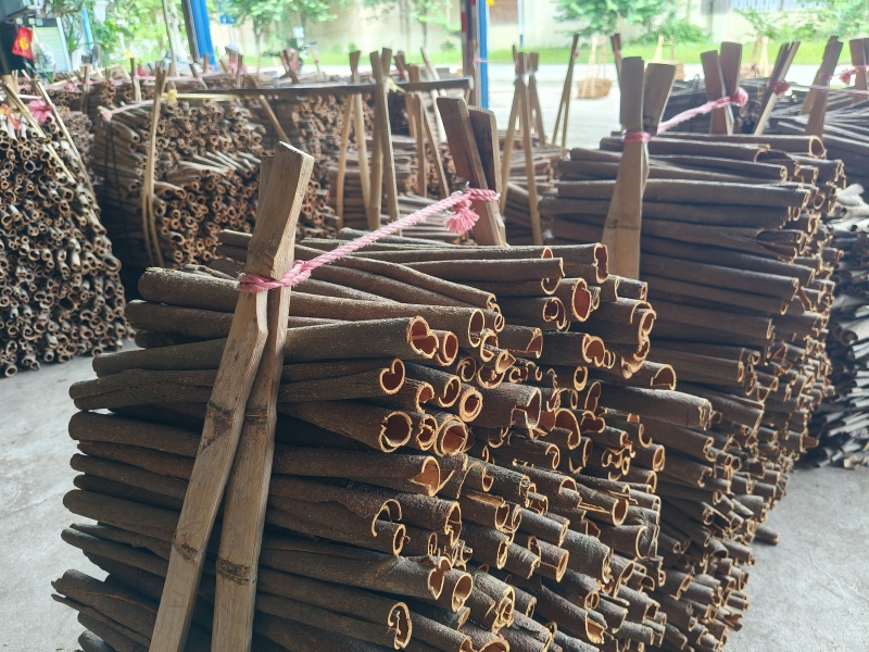 广东肇庆市德庆县精品桂皮工厂原产地直销量大从优