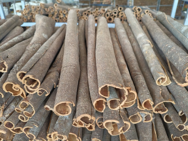 广东肇庆市德庆县精品桂皮工厂原产地直销量大从优