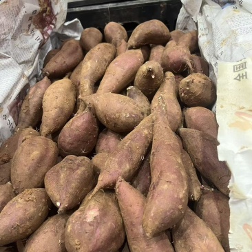 糖化榴莲蜜薯