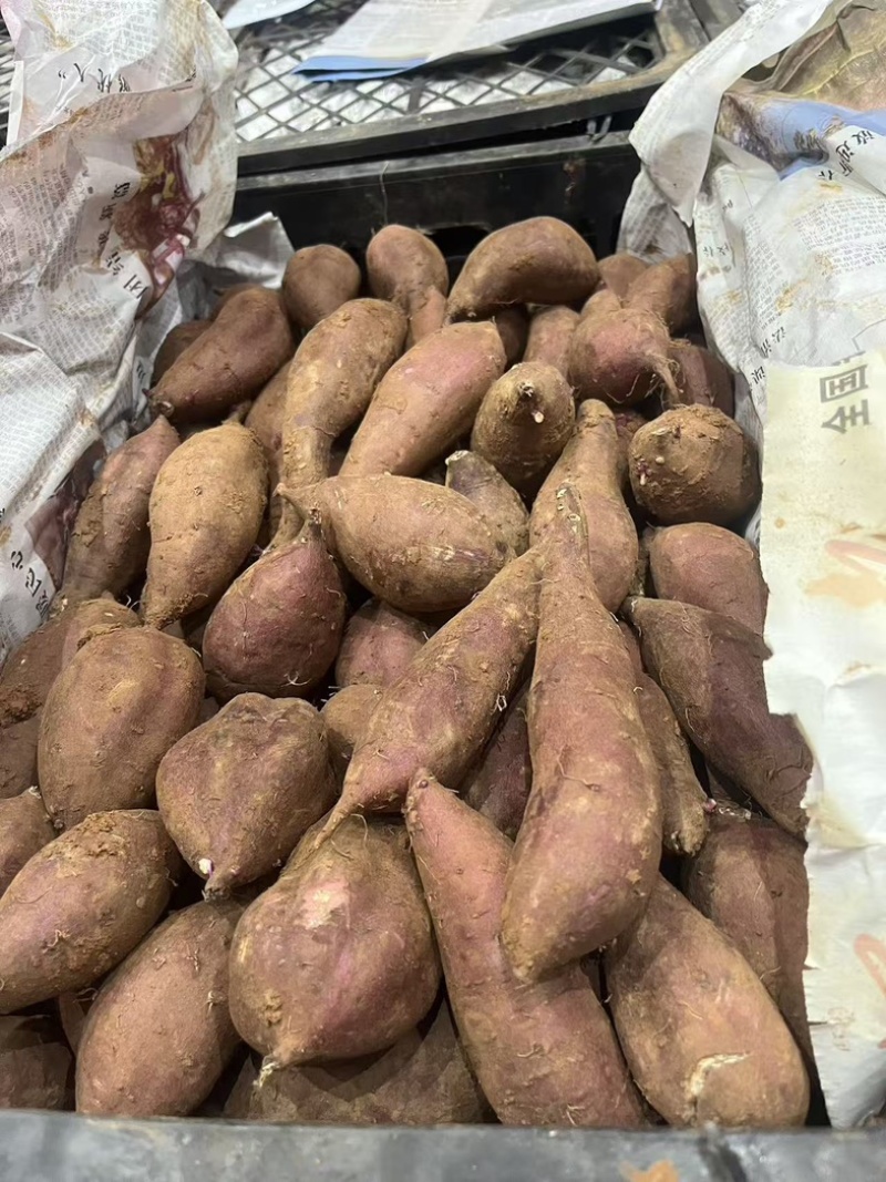 糖化榴莲蜜薯