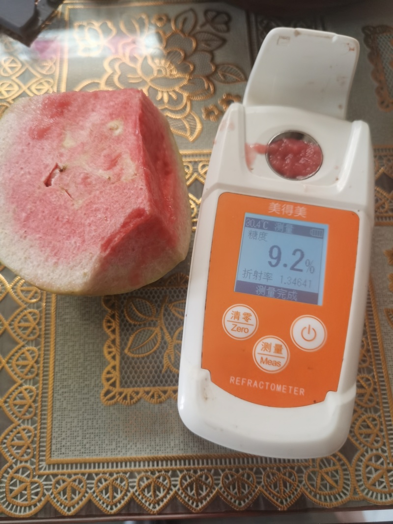 红宝石芭乐全国发货