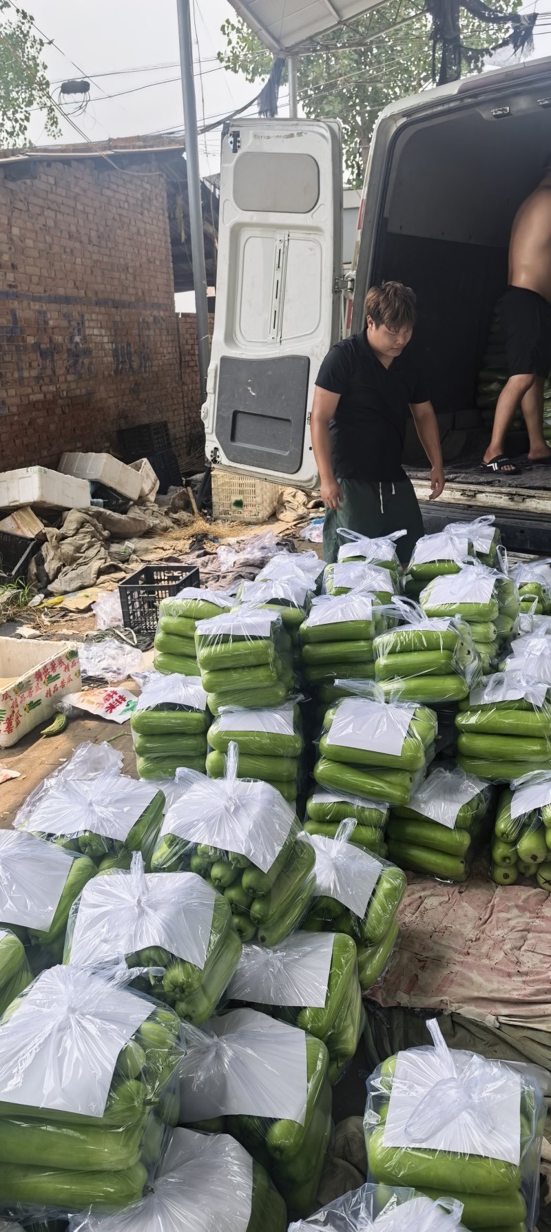 河南瓠瓜，基地直供，保证质量，视频看货，线上保障交易。