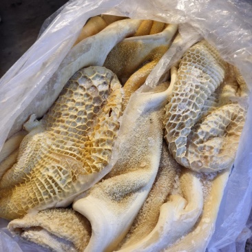 国产水退半成品牛肚现货实拍，长期供应，货源充足，价格便宜
