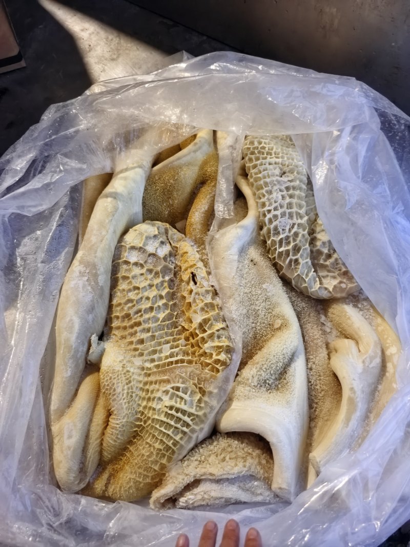 国产水退半成品牛肚现货实拍，长期供应，货源充足，价格便宜