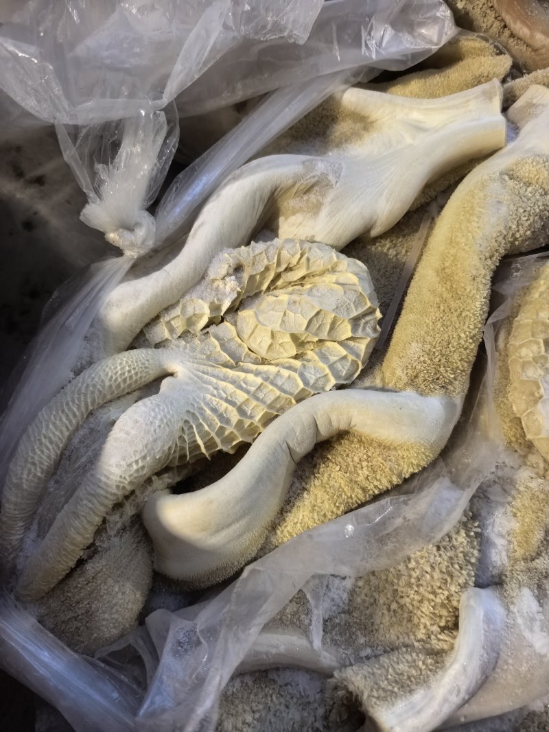 国产水退半成品牛肚现货实拍，长期供应，货源充足，价格便宜