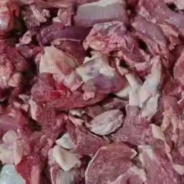 羔羊护心肉羊天蓬肉羊罗肌肉羊碎肉