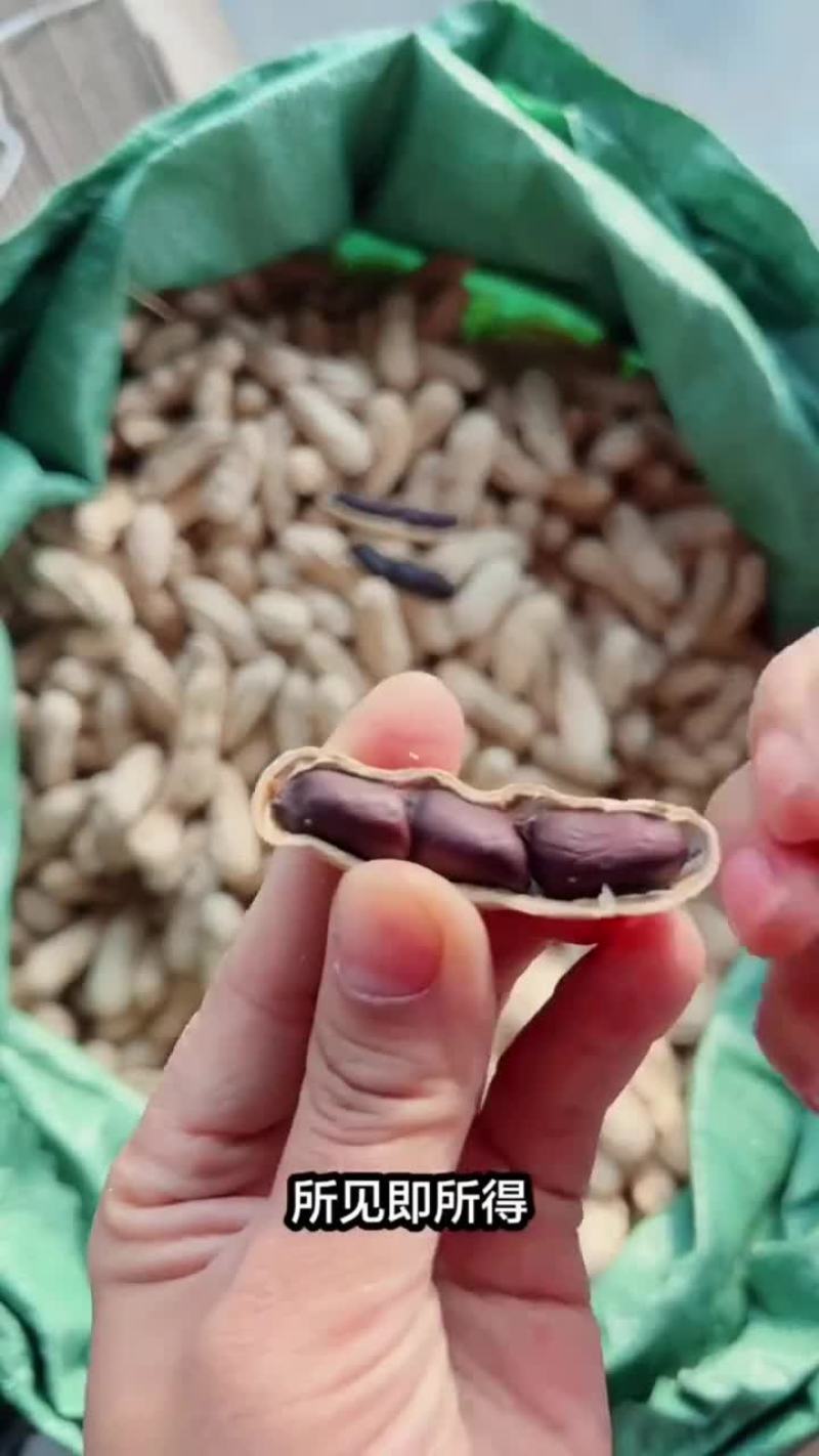 太便宜啦】云南黑花生带壳生云南黑花生晒干黑花生富硒农产品
