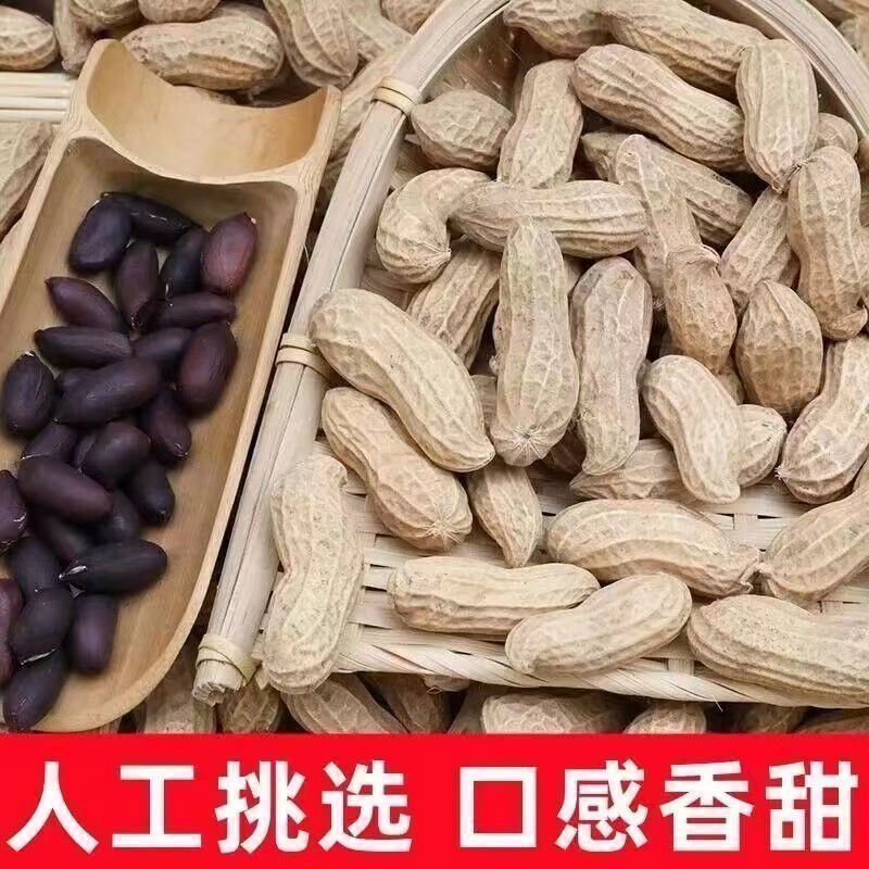 太便宜啦】云南黑花生带壳生云南黑花生晒干黑花生富硒农产品