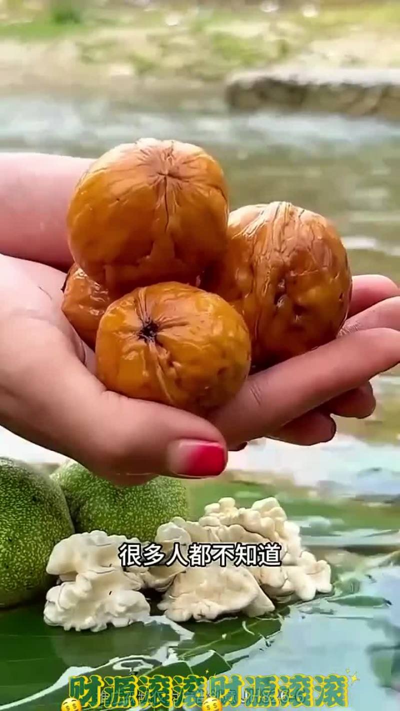 去青皮鲜湿核桃大凉山老树核桃嫩核桃孕妇果绿皮薄皮湿核桃批