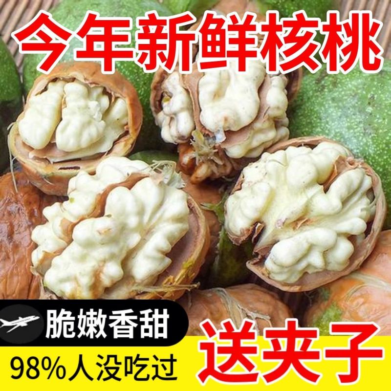 去青皮鲜湿核桃大凉山老树核桃嫩核桃孕妇果绿皮薄皮湿核桃批