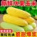 云南现摘水果甜玉米新鲜超甜可生吃爆浆黄金水果玉米带皮整箱
