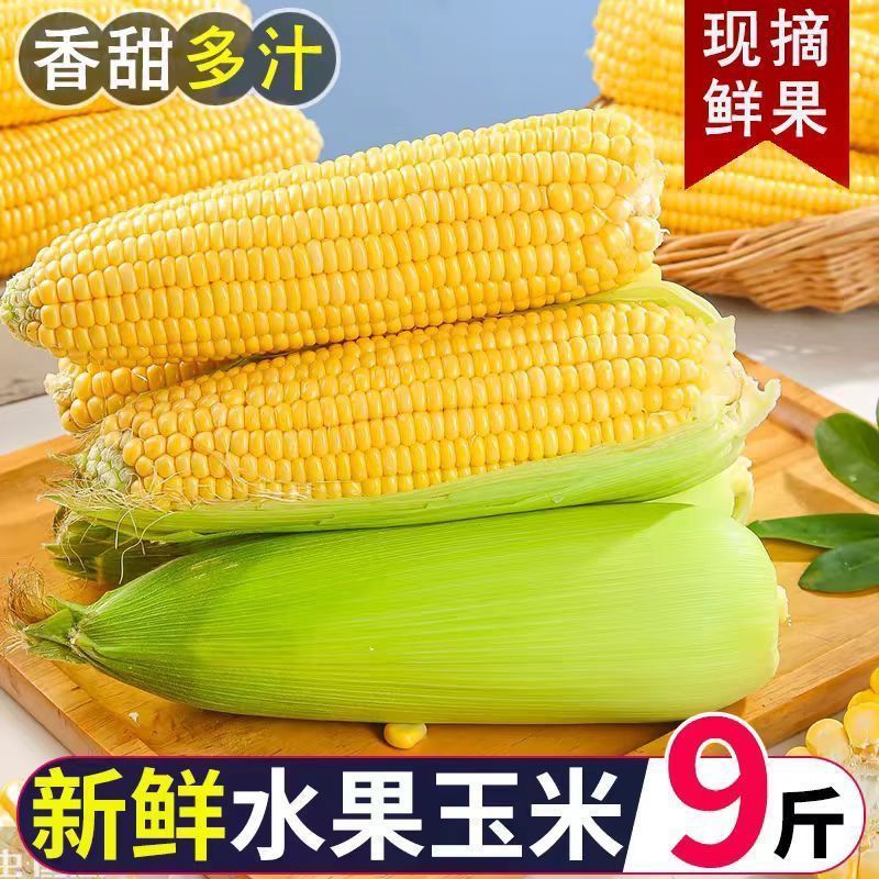 云南现摘水果甜玉米新鲜超甜可生吃爆浆黄金水果玉米带皮整箱